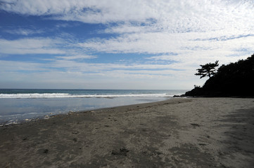 海岸の風景