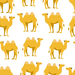 Camal, tropical, summer fashion, animal vector seamless patten on white background. Concept for wallpaper, wrapping paper, cards 