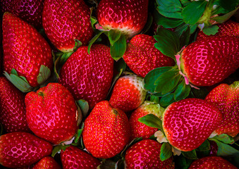 Cesta de fresas en el mercado a la venta