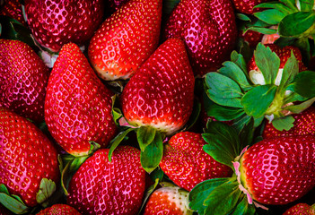 Cesta de fresas en el mercado a la venta
