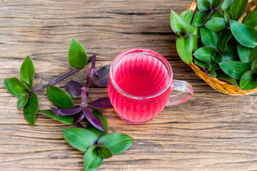 river spiderwort have medicinal properties
