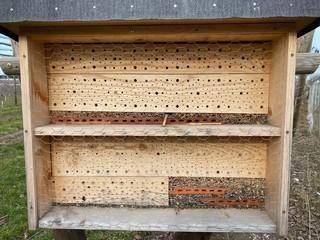 insekten hotel am bodensee 