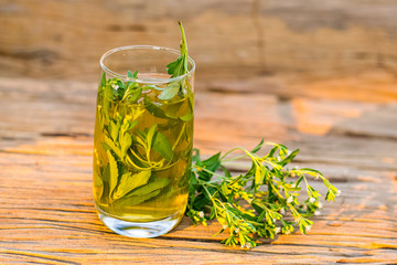 Herbal Stevia Tea