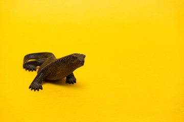 lizard figure on yellow background