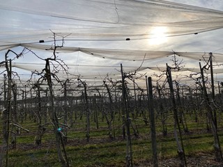 wanderweg am bodensee in immenstadt
