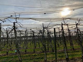 wanderweg am bodensee in immenstadt