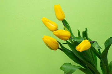 Still life with a bouquet of white tulips in front of a green wall..copyspace for text