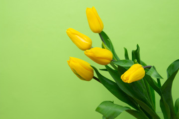 Obraz premium Still life with a bouquet of white tulips in front of a green wall..copyspace for text