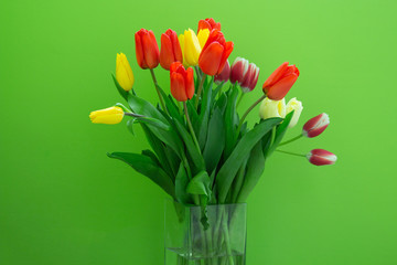 Still life with a bouquet of white tulips in front of a green wall..copyspace for text