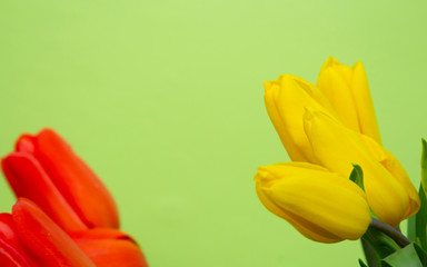Naklejka premium Still life with a bouquet of white tulips in front of a green wall..copyspace for text