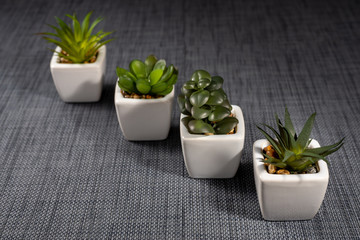 Artificial plants in white pots on a dark background.