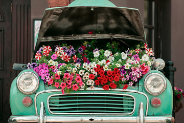 Mint retro car with flowers under the hood