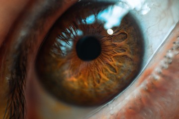 fotografia macro del ojo