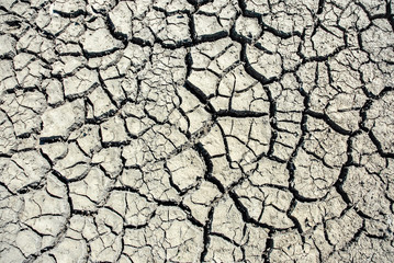 Texture of a dried up soil 2