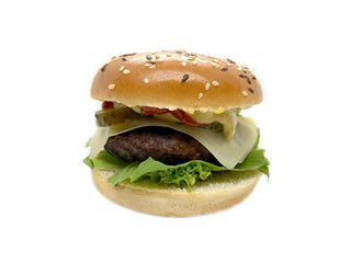 Bio Organic Diet Fit Natural Turkey Cheese Burger