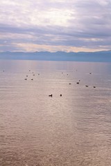 sunset over the lake 