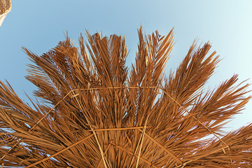 abstract background of dry palm leaves. Bottom view of the beach umbrellas against the sky