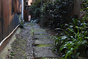 路地