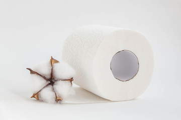 white toilet roll and plant cotton on a white background