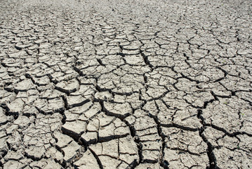 Texture of a dried up soil 