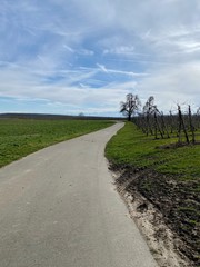 Wanderung ebi meersburg am bodensee