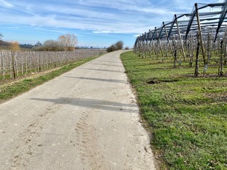 Apfel und Weinweg bei Immenstadt in deutschland