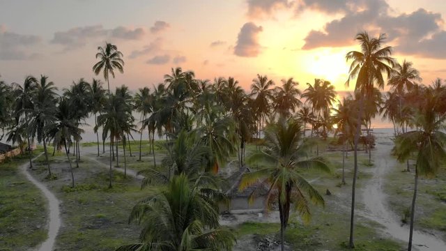Aerial view of the thatch roofed Hut Surrounded with Palm Trees at Paradise tropical Paje beach at East Zanzibar island aerial view. Tanzania, Africa