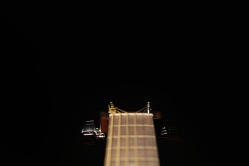 Vulture of a guitar on a black background