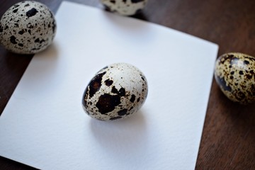 Obraz premium Quail eggs