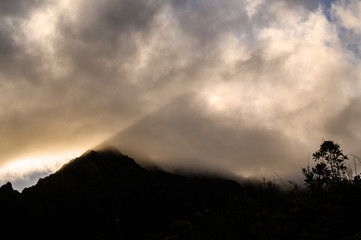 Hoomaluhia Botanical Garden - Oahu, Hawaii