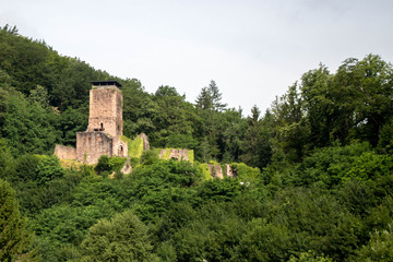 Fototapeta na wymiar Heidelberg und Neckartal