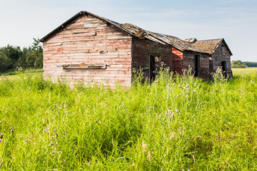 Obraz premium Old Farm Building