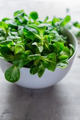 Fresh Juicy Green Corn Salad (lamb's lettuce, Valerianella locusta) on a plate on a blue...