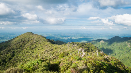 Fototapeta na wymiar Blue skies with few clouds, views from summit of Mount Pirongia in Pirongia Forest Park, New Zealand