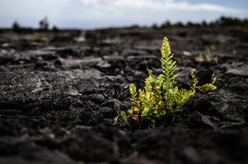  Volcanos National park - Big Island, Hawaii