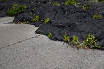 Old lava flooded road on Volcanos National park - Big Island, Hawaii