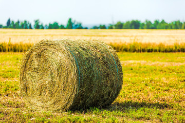 Hay Bale
