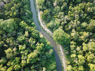 Aerial view river in lush green woodland.