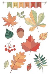Obraz premium Set of autumn. Autumn leaves and objects 