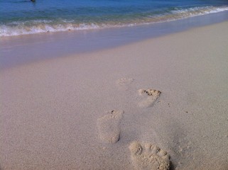 footprints on the beach