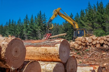 Forestry Machine Logging Equipment 