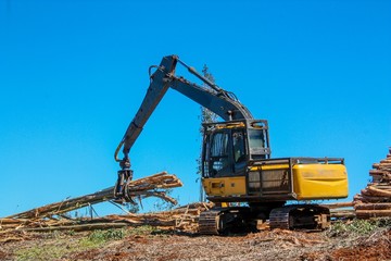 Forestry Machine Logging Equipment 