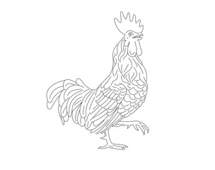 Line sketch drawing illustration of rooster. Cock bird mascot concept icon, farming symbol.