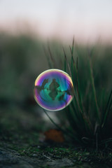 soap bubbles in the grass