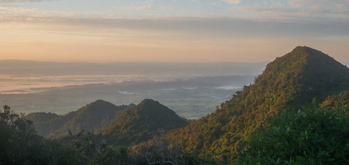 Sunrise in jungle. Shot on summit of mount Pirongia in Pirongia Forest Park, New Zealand.