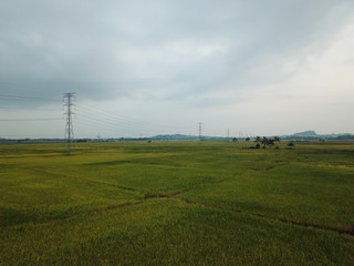 Aerial view agricultural paddy field with electric tower.