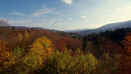 Fototapeta na wymiar beautiful autumn in the Bieszczady Mountains