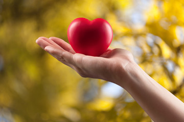 Fototapeta na wymiar Woman slim hand holds red medical heart