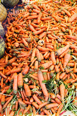 Carrots from farmers on food market Morocco