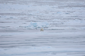 View of Svalbard, Norwegian territory